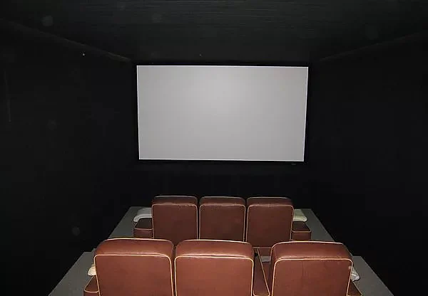 Compact six-seat media room in East Hampton with dark acoustic walls
