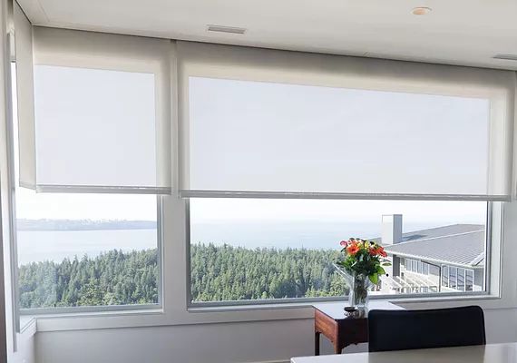 MOTORIZED SHADES